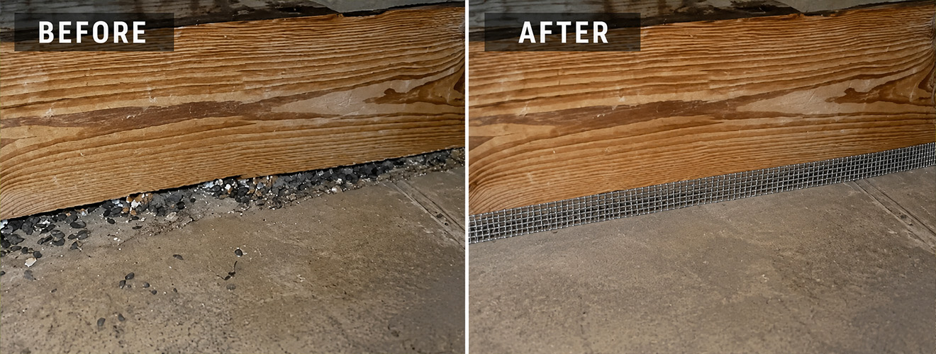 Full Home Rodent Proofing in Southern California: What’s Included