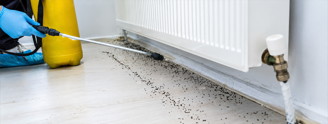 Mosquito Control Services in Los Angeles