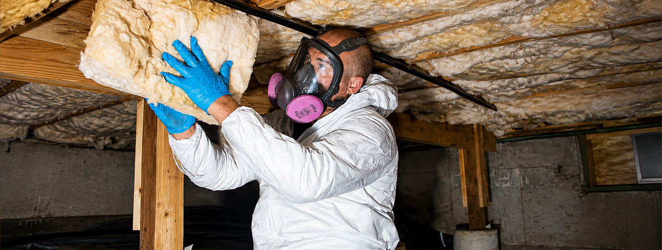 Rats in Crawlspaces: Entry Points Most Homeowners Miss