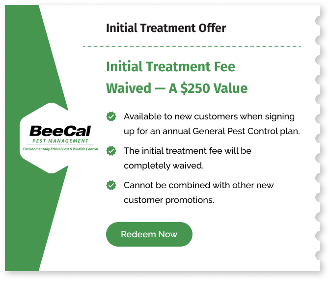 Initial Treatment Offer