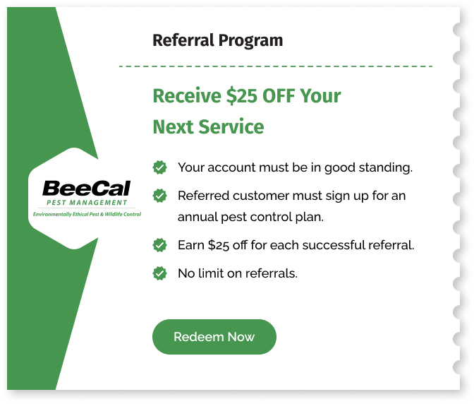 Referral Program