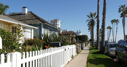 Residential Pest Control