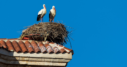 Roofline & Gutter Review