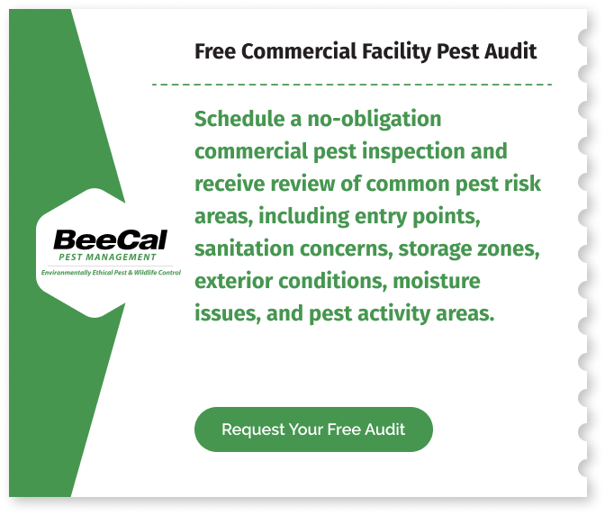 Free Commercial Facility Pest Audit